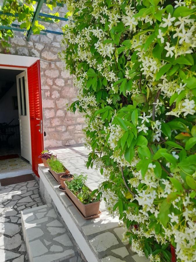 Petrovac Stone House In Buljaricaヴィラ エクステリア 写真