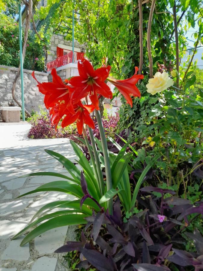 Petrovac Stone House In Buljaricaヴィラ エクステリア 写真