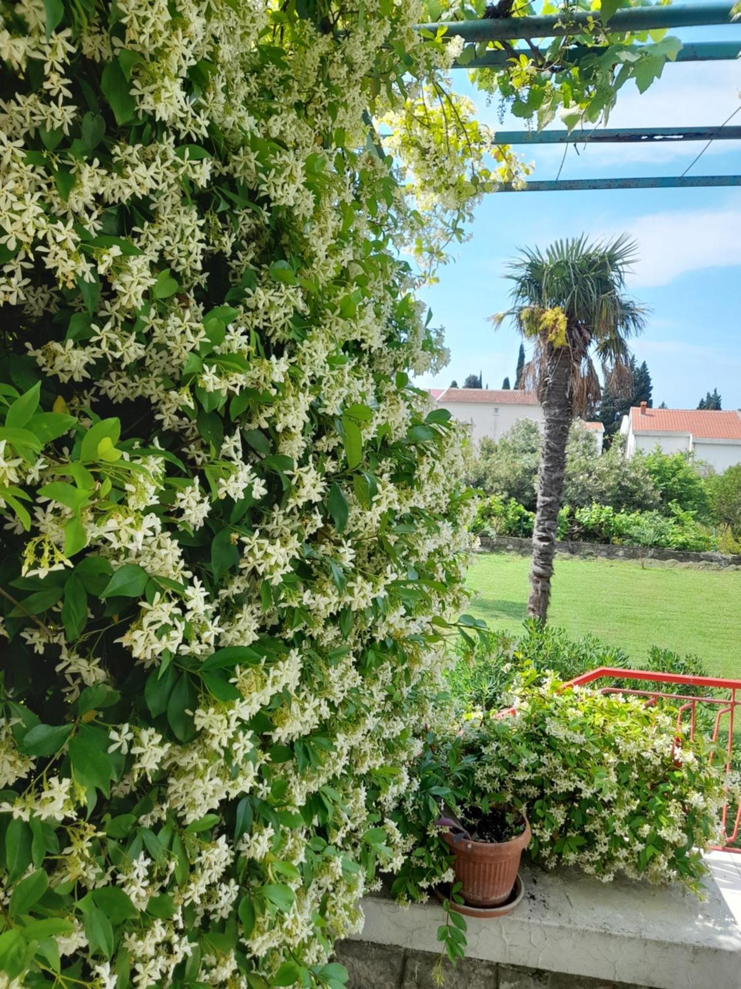 Petrovac Stone House In Buljaricaヴィラ 部屋 写真