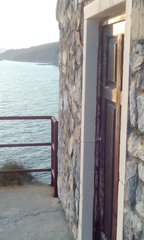 Petrovac Stone House In Buljaricaヴィラ エクステリア 写真