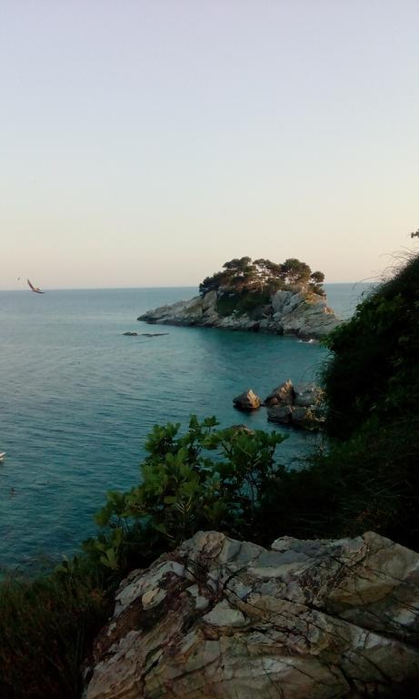 Petrovac Stone House In Buljaricaヴィラ エクステリア 写真