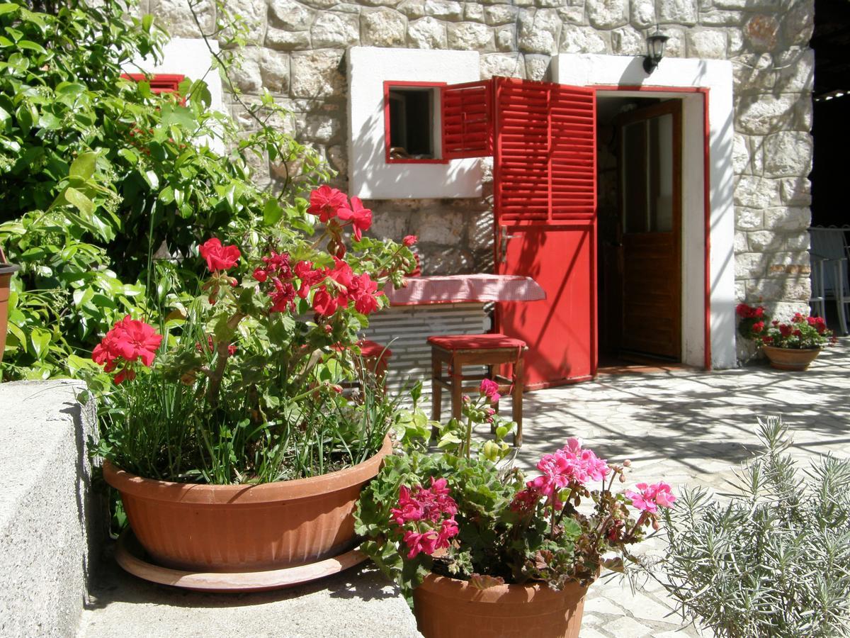 Petrovac Stone House In Buljaricaヴィラ エクステリア 写真
